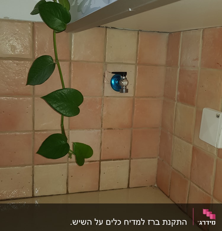 ברז מים על קיר אריחים במטבח